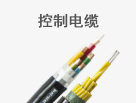 节制电缆